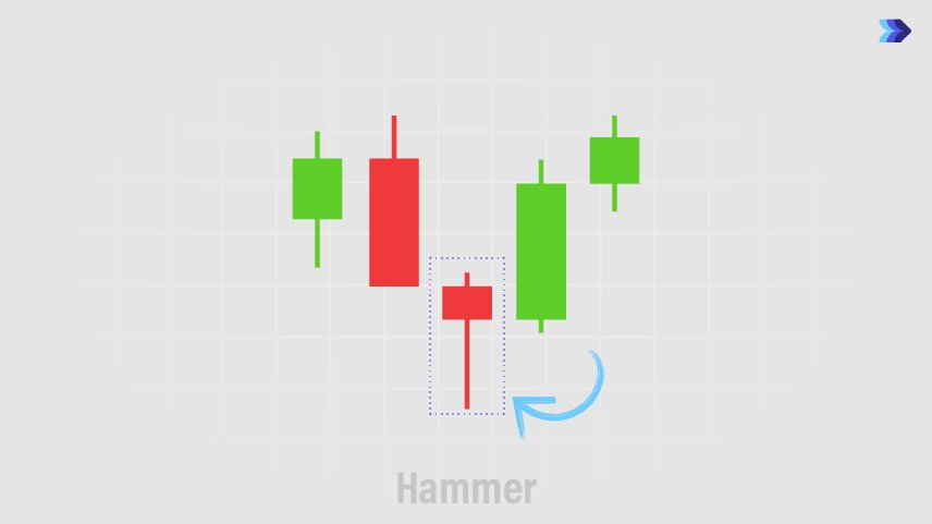 Hammer Chuẩn (Standard Hammer)