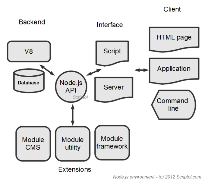 Các loại JavaScript và môi trường chạy
