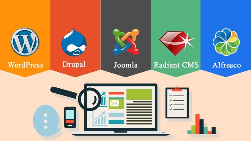 Xu hướng CMS năm 2025