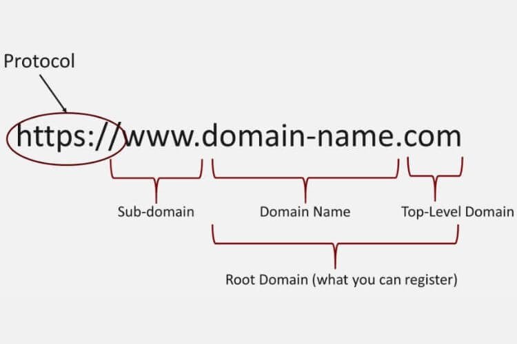 Cấu trúc của Domain là gì? Phân tích chi tiết từng thành phần
