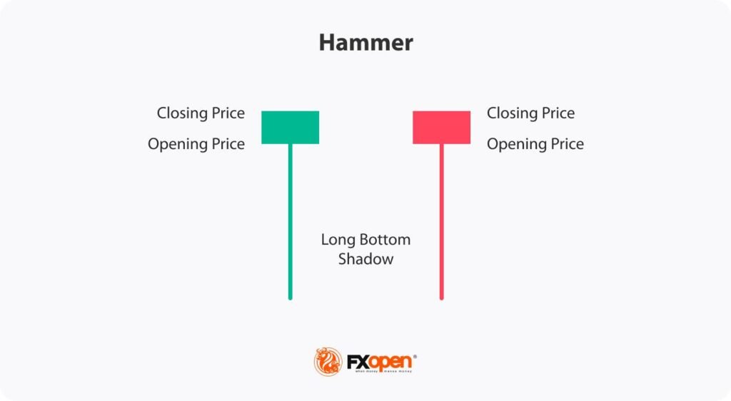 Hammer Là Gì? Định Nghĩa Chi Tiết Mô Hình Nến Đặc Biệt