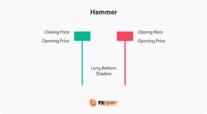 Hammer Là Gì? Định Nghĩa Chi Tiết Mô Hình Nến Đặc Biệt
