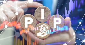 Pip là gì?