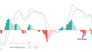 Các Chỉ Báo Kỹ Thuật Phổ Biến Trong Trading: Hướng Dẫn Toàn Diện Cho Trader Việt Nam