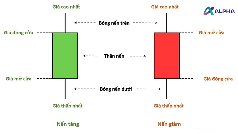Nến Nhật là gì? Lịch sử và tầm quan trọng trong trading